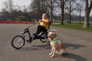 Zomer activiteiten ouderen